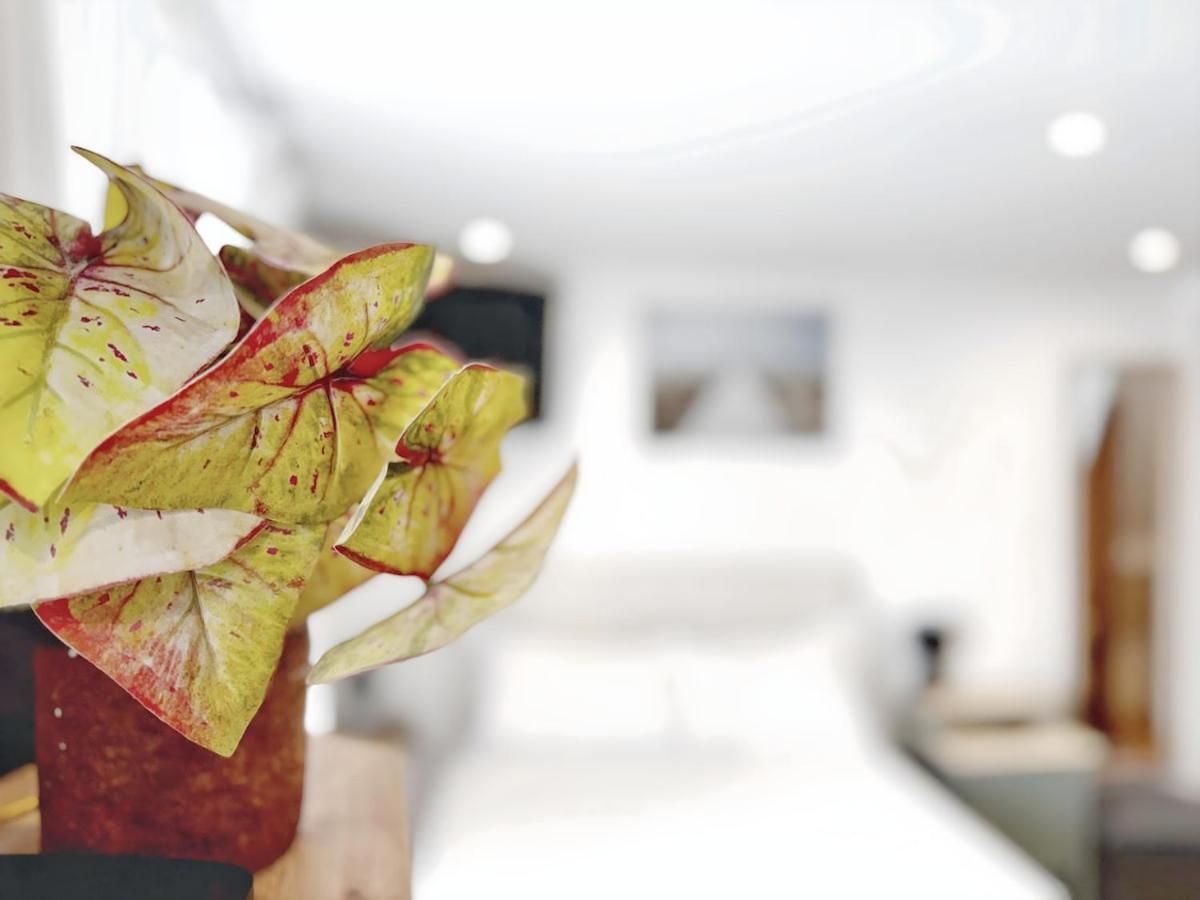 Apartamento Alfacinha Fully Equipped By Homeful Homes Lisboa